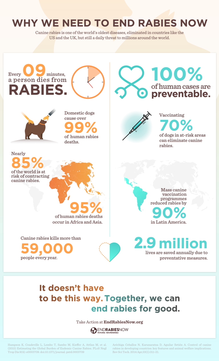 The Fao Reference Centre For Rabies At Izsve Supports The End Rabies Now Campaign